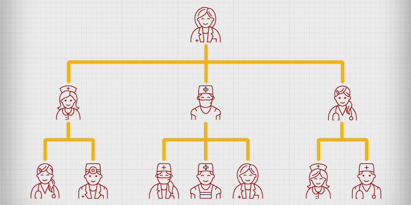 The Hierarchy Of Nursing Levels Of Nursing Inscore